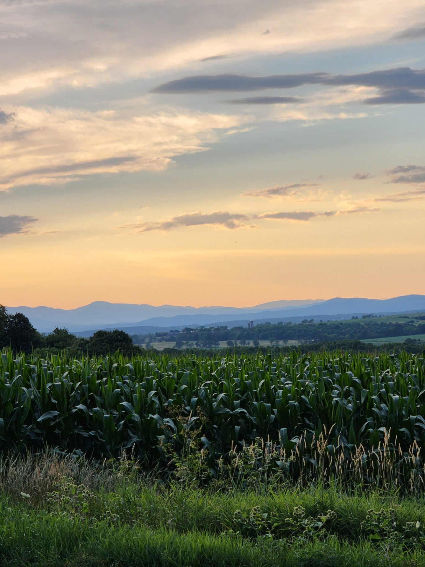 Landscape view of Addison County, Vermont